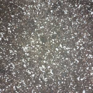 Living Soil lebende Erde Substrat